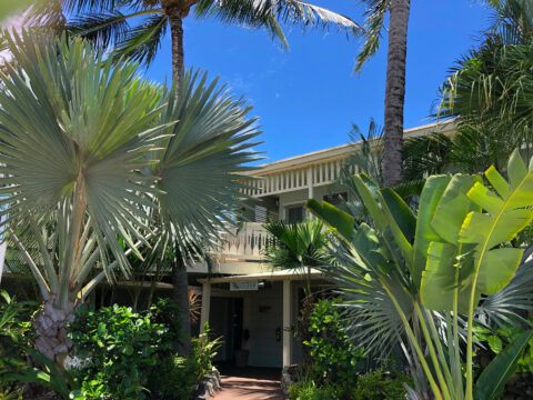 Kauai Palms Hotel Revealed Travel Guides