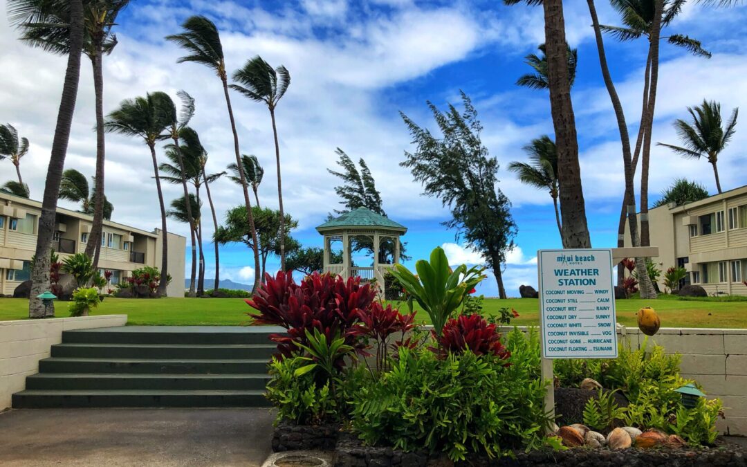 Maui Beach Hotel