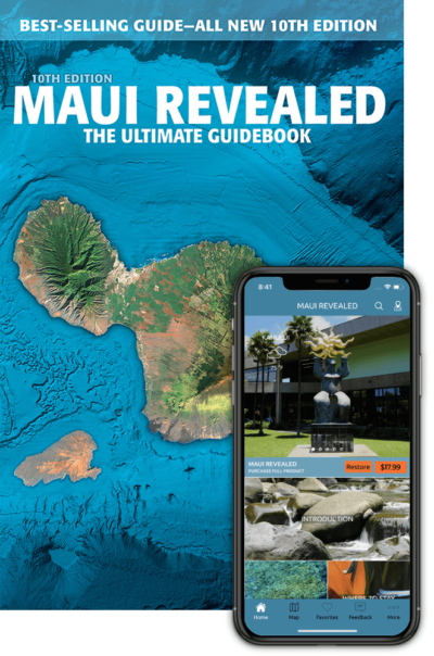 free maui travel guide book