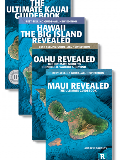 Hilton Hawaiian Village - Revealed Travel Guides