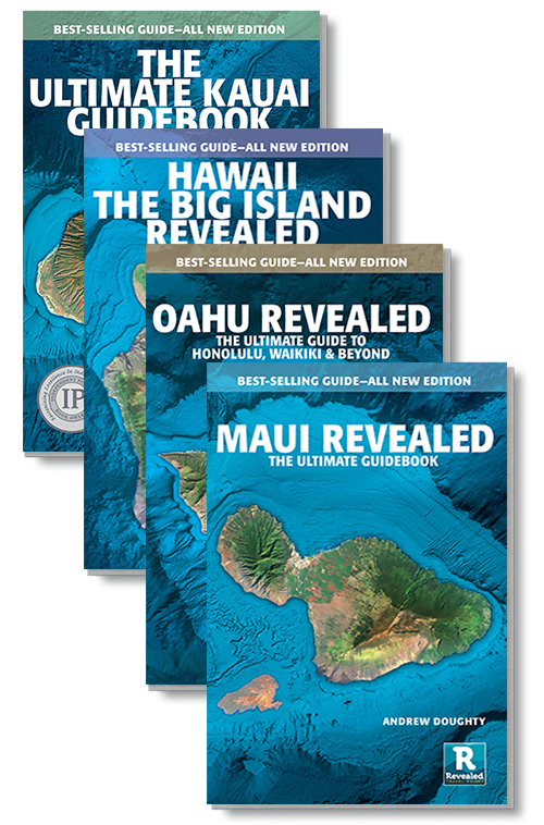 hawaii travel book 2023