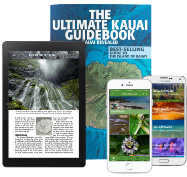 maui revealed guide book