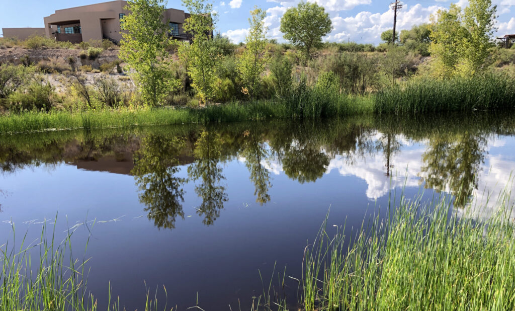 Springs Preserve presents a picturesque landscape with its lush botanical gardens reflecting upon the clear lake that offers it's visitors a serene oasis in the heart of Las Vegas.