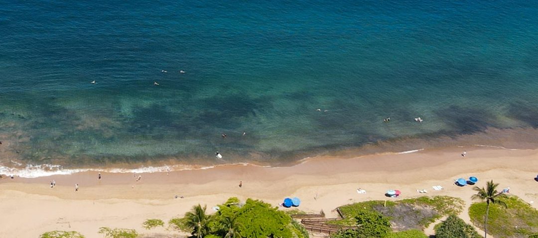 Maui Banyan