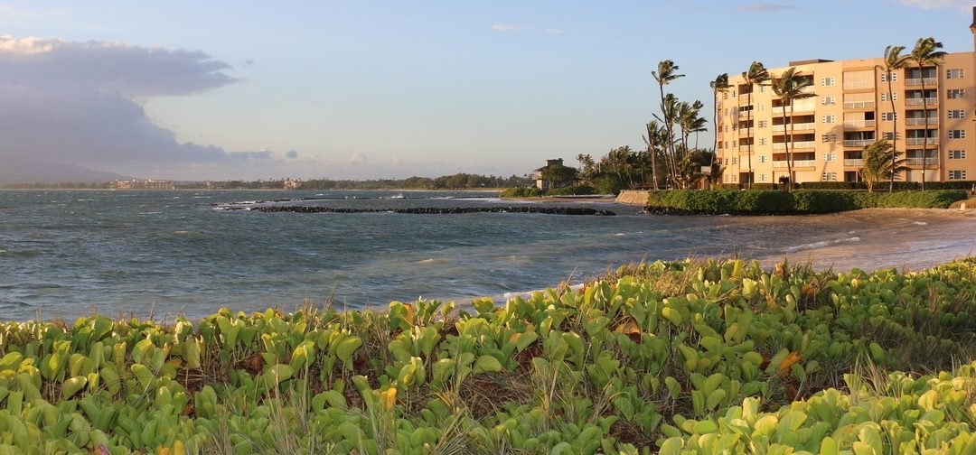 Menehune Shores