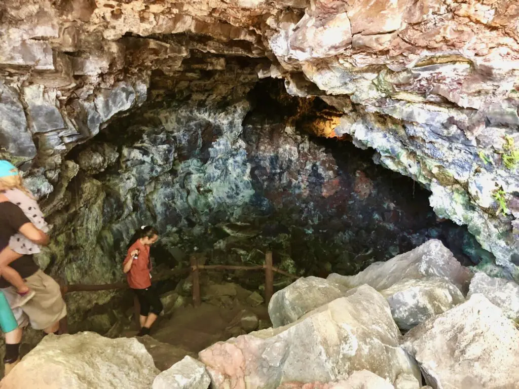 Lava caves have a similar level of biological diversity to limestone caves, harboring numerous small and unique animals. Whole ecosystems with a variety of species have grown on tree roots inside Hawaiian lava tubes. 