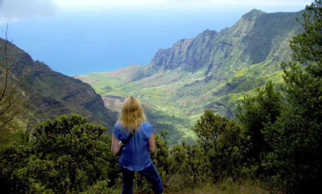 Situated at an altitude of around 4,000 feet, the Kalalau Valley Lookout can be found within Koke'e State Park on the western side of Kauai. 