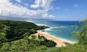 Puʻu O Mahuka Heiau, a large heiau on Oahu, includes a wide range of stone platforms and walls. 