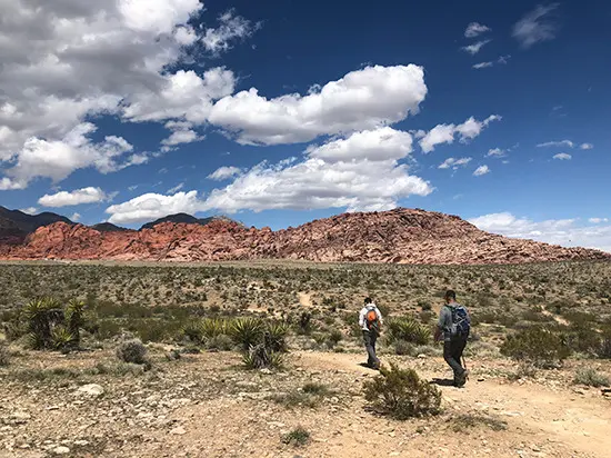 Red Rock Canyon, covering over 195,000 acres, is Nevada's initial National Conservation Area and showcases the distinct features of the Mojave Desert. 