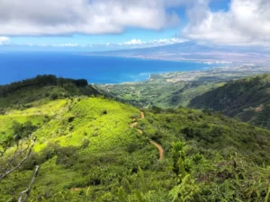 The Waihee Ridge Trail on Maui is a well-liked hiking route. As you hike up the mountain, you'll enjoy picturesque coastal views and glimpses of the green Waihee valley below. 