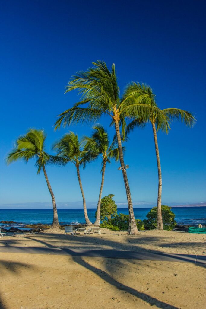 free hawaii travel guides