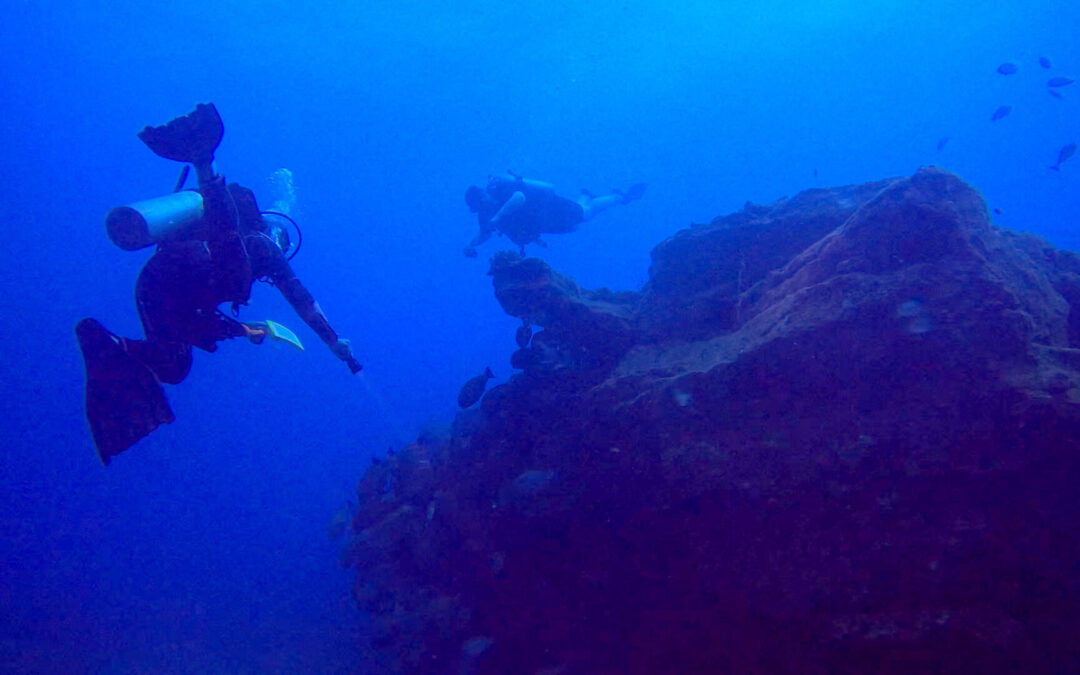 Seasport Divers – Ni‘ihau Trip