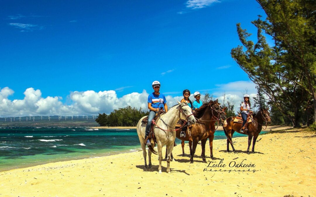 Hawaii Polo Trail Rides: Sunshine Trail Ride