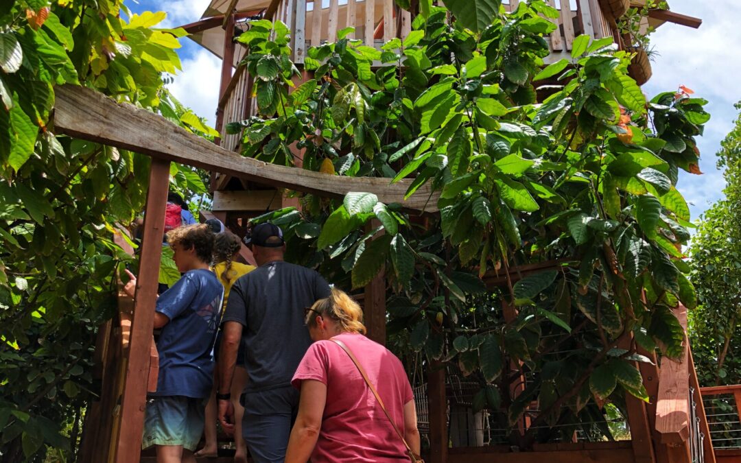 Maui Chocolate Tour: Guided Farm Tour