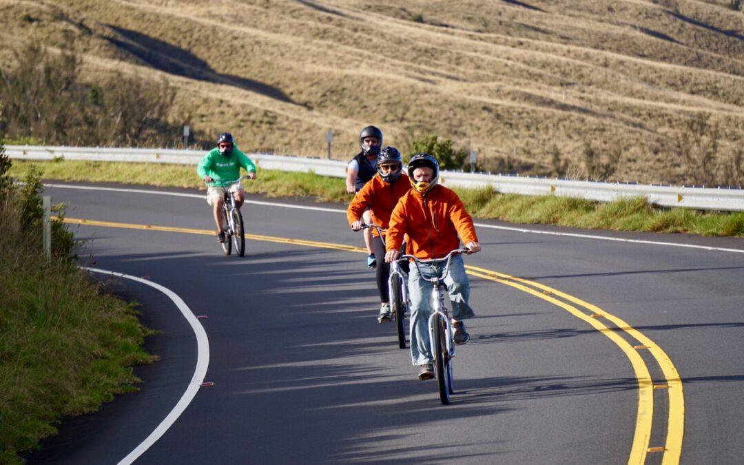 Maui Downhill: Downhill Tour