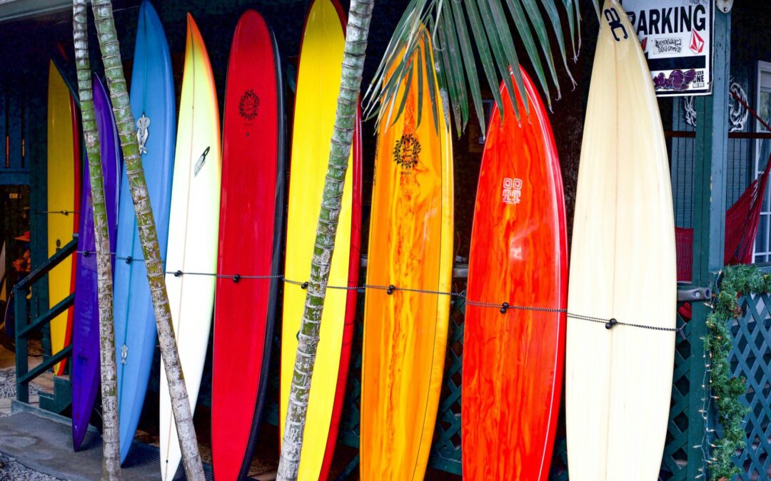 Surfing 102: Shapes of Boards and Fins and Why It Matters