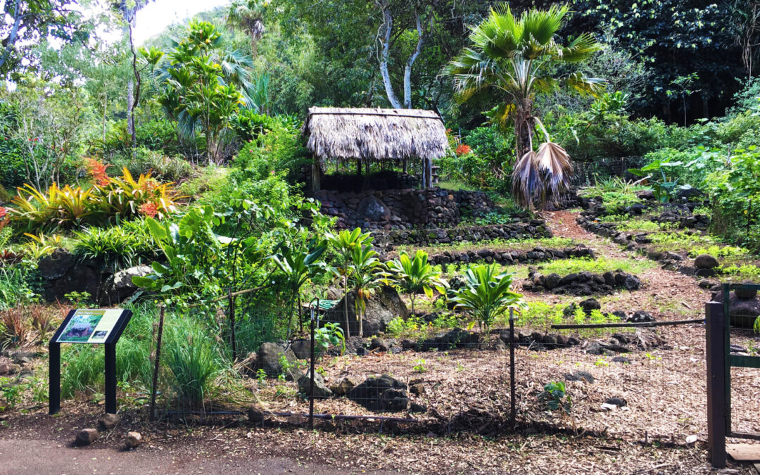 Waimea Valley: General Admission