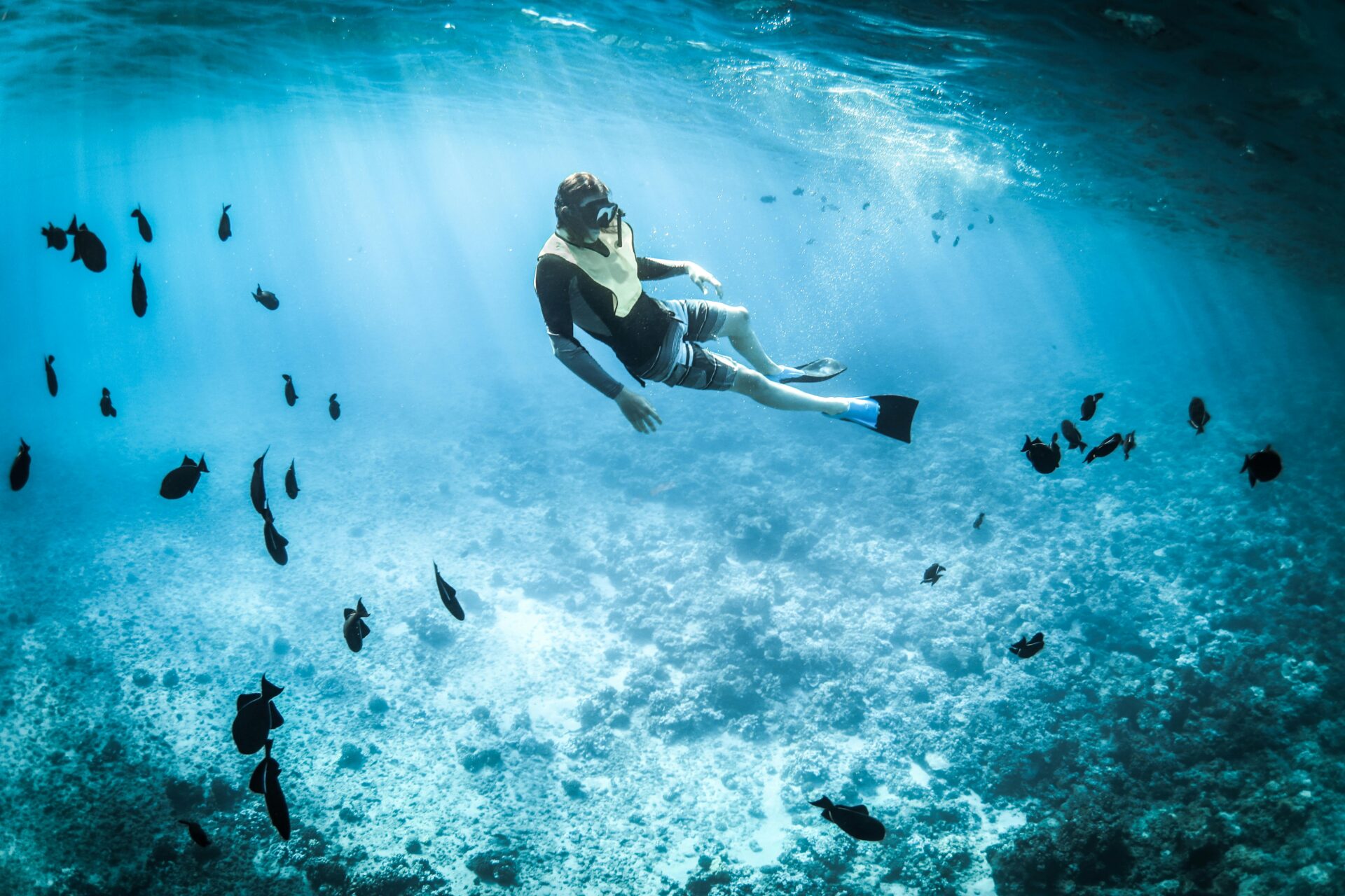 snorkeling for a bachelor party