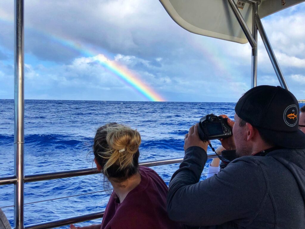 Rainbow on a whale watch