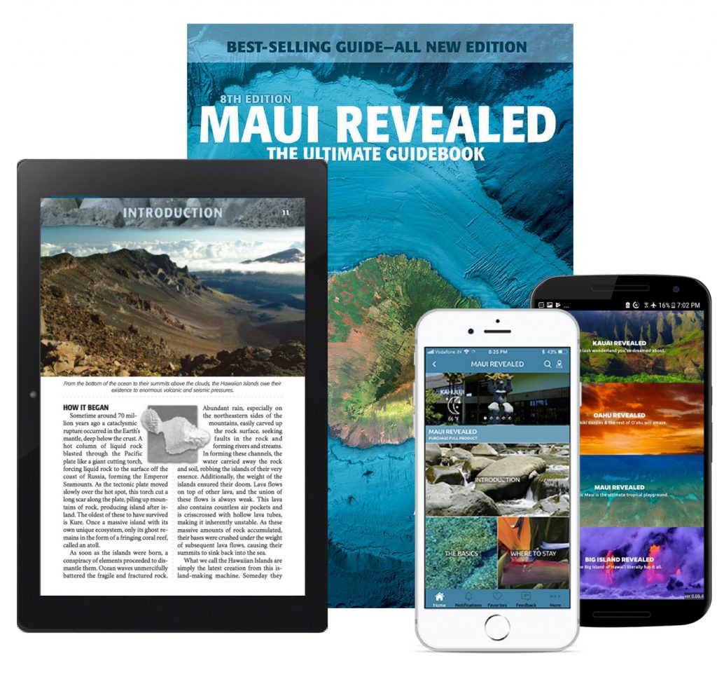 kahana beach vacation club maui revealed